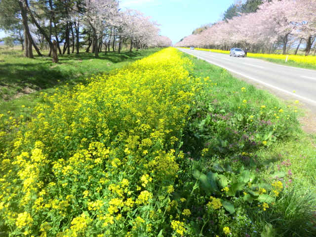 2017年5月1日