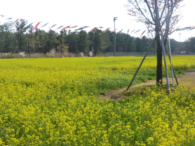 2017年4月30日 ミニSL会場