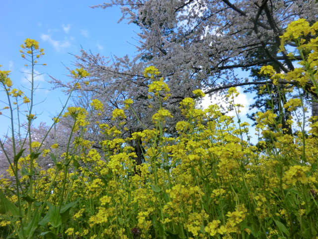 2017年4月28日