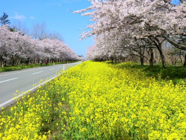 2017年4月27日