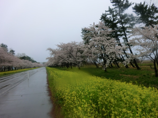 2017年4月26日