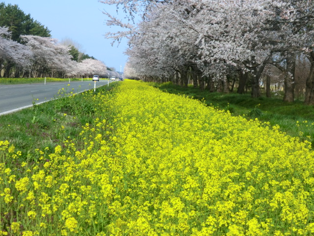 2017年4月25日