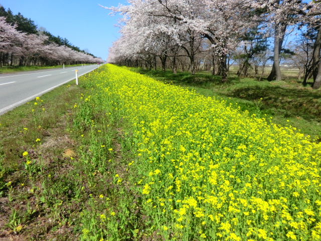 2017年4月24日