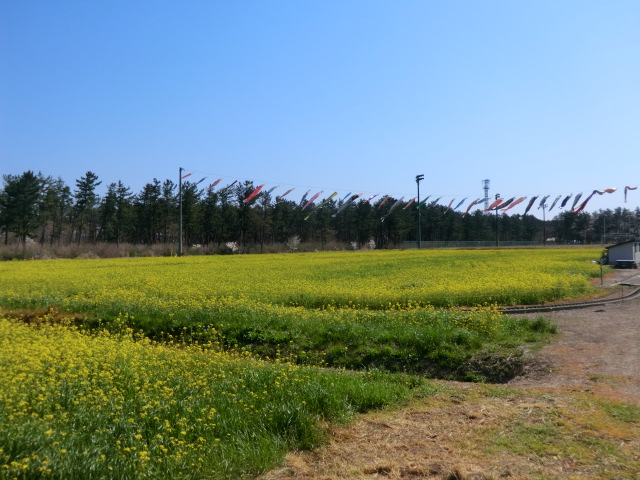 2017年4月24日 ミニSL会場