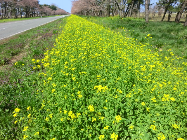 2017年4月21日