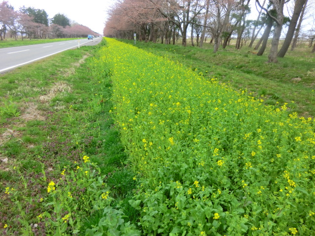 2017年4月20日