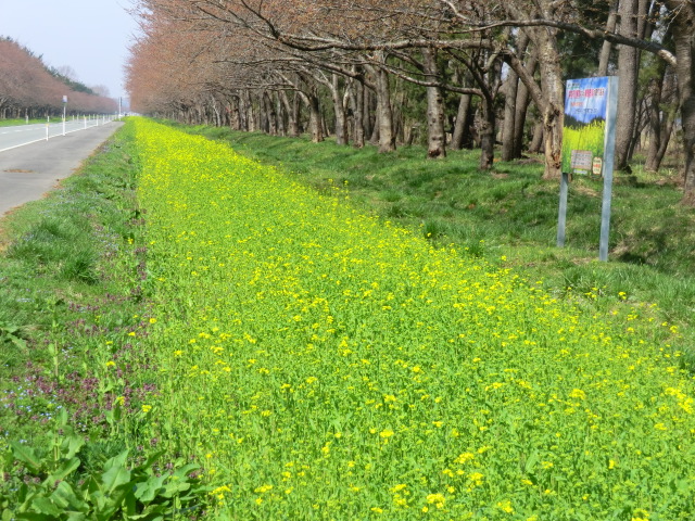 2017年4月17日