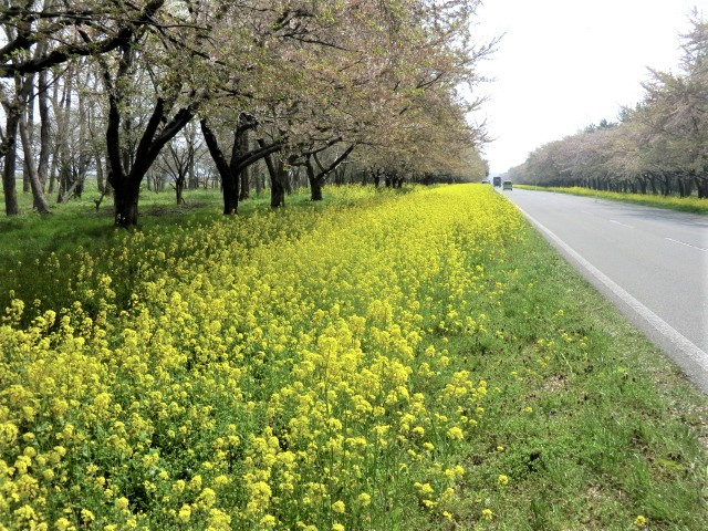 2018年5月2日