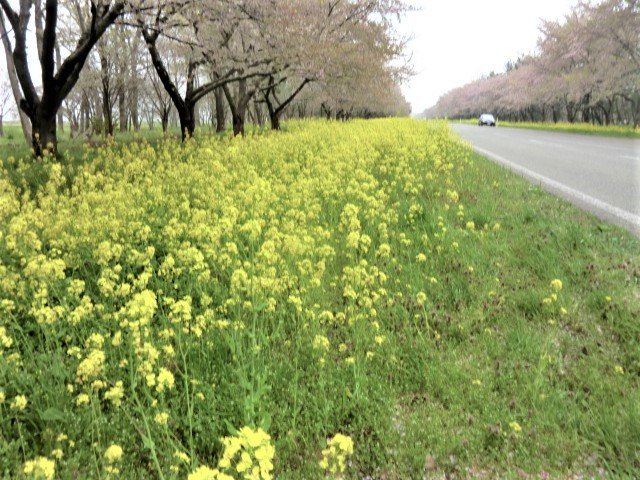 2018年5月1日