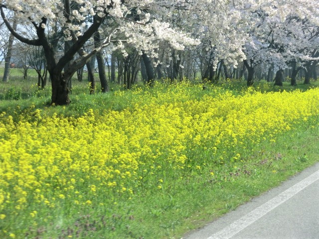 2018年4月28日