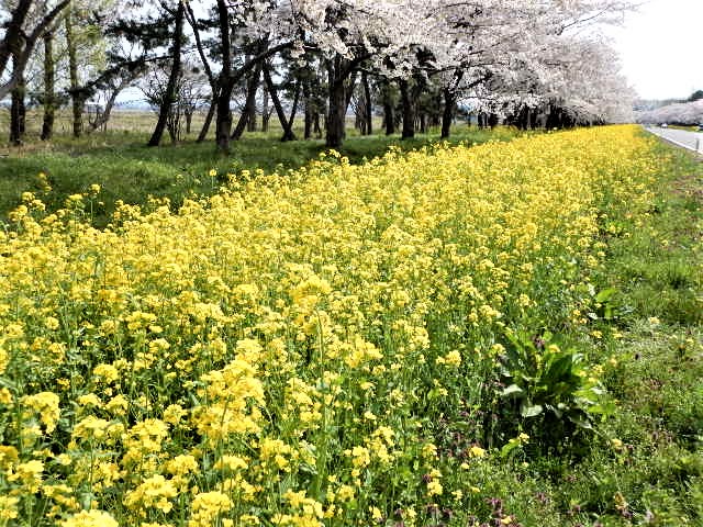 2018年4月27日