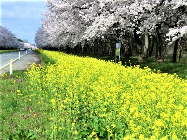 2018年4月26日