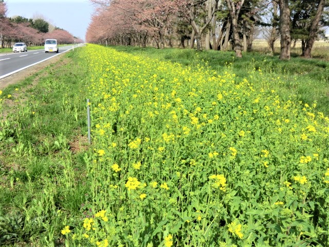 2018年4月21日