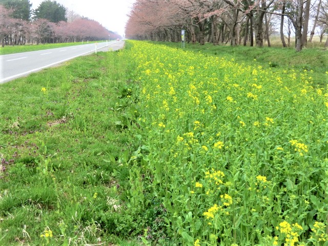 2018年4月20日