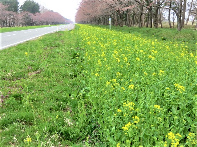 2018年4月20日