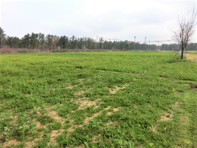 2018年4月20日 ミニSL会場