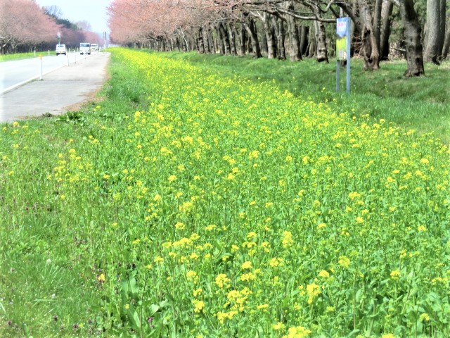 2018年4月19日