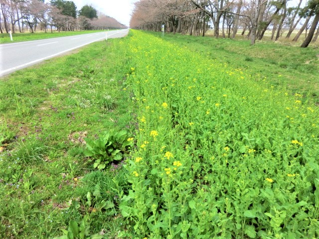 2018年4月18日