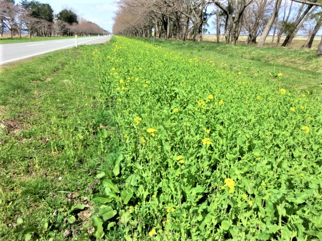 2018年4月17日