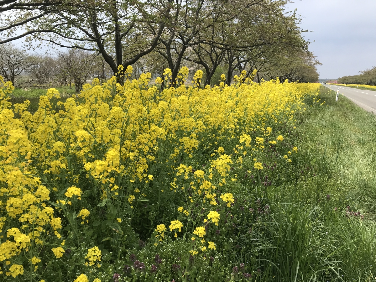 2019年5月6日