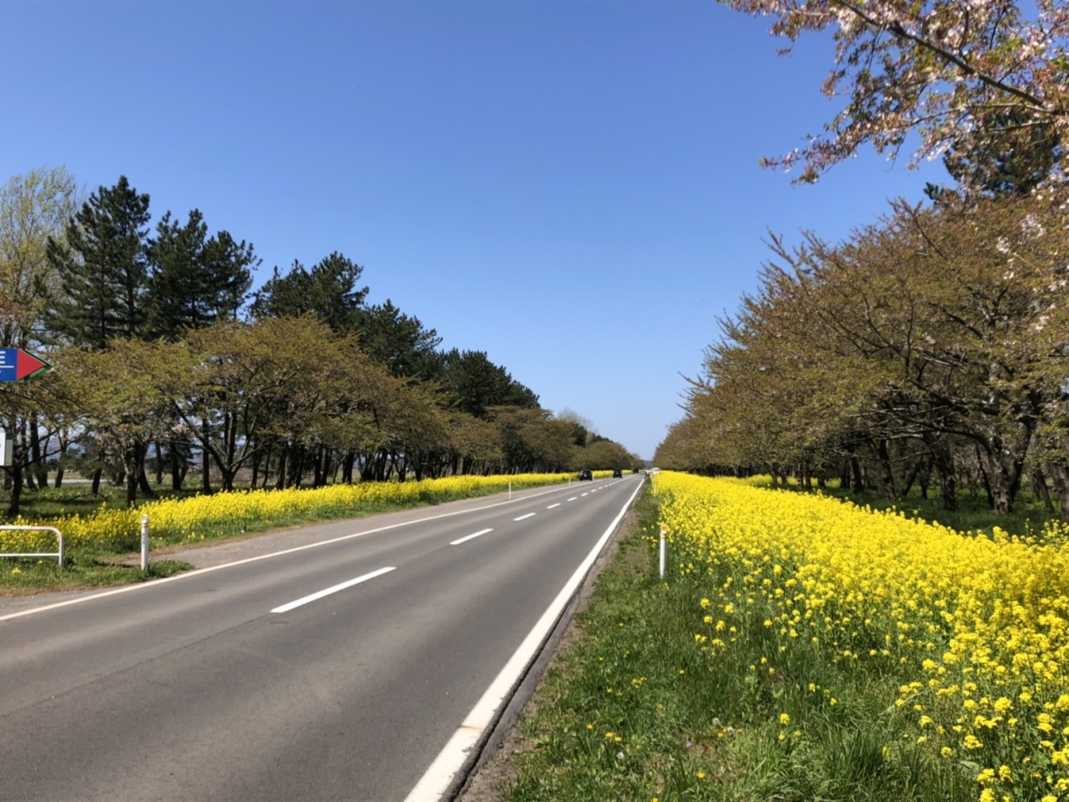 2019年5月5日