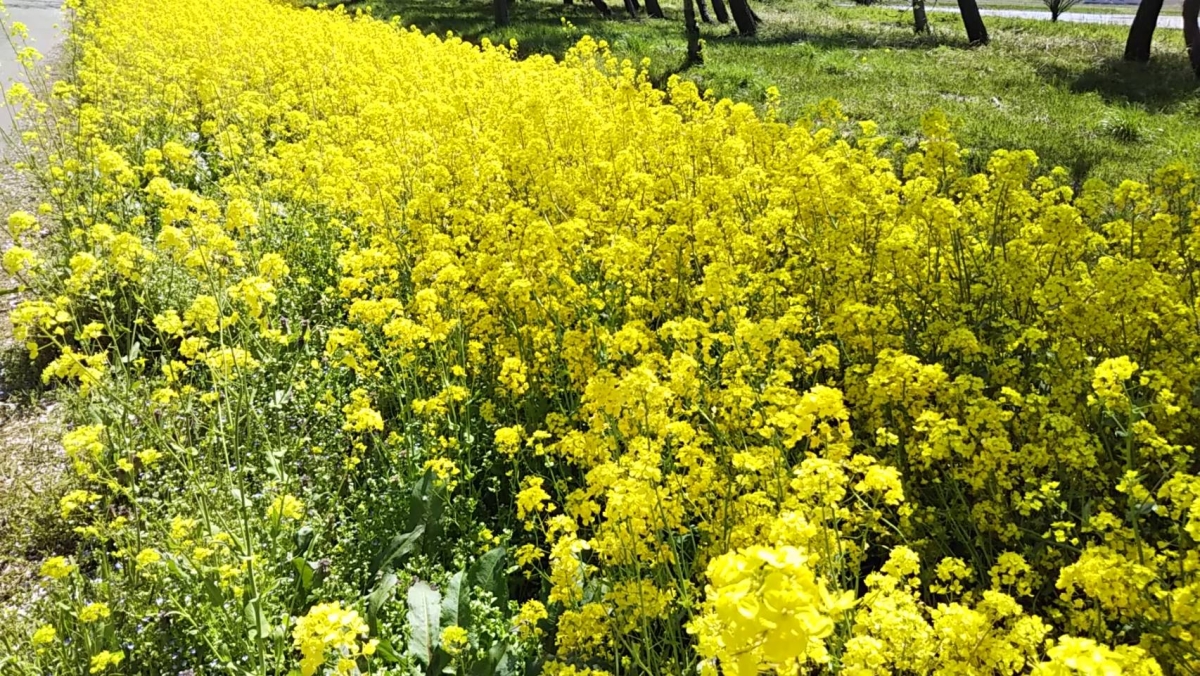 2019年5月4日