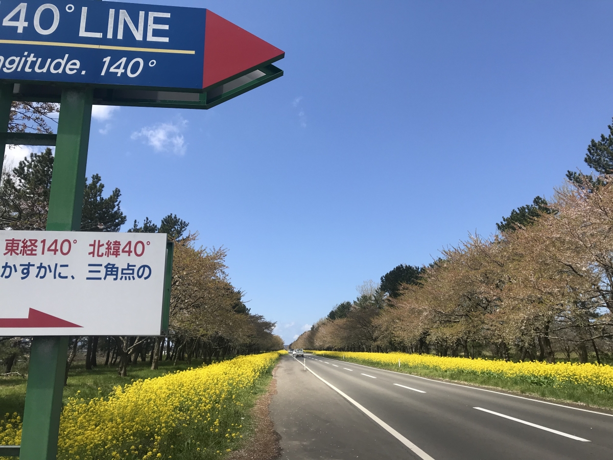 2019年5月3日 桜 八郎潟線