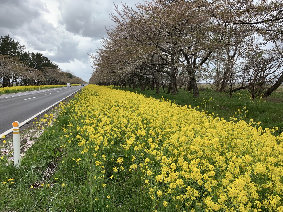 2019年5月2日