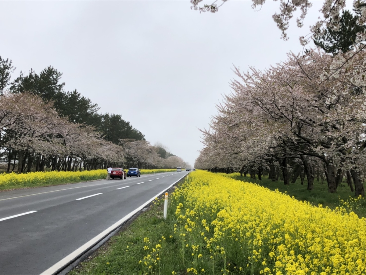 2019年5月1日