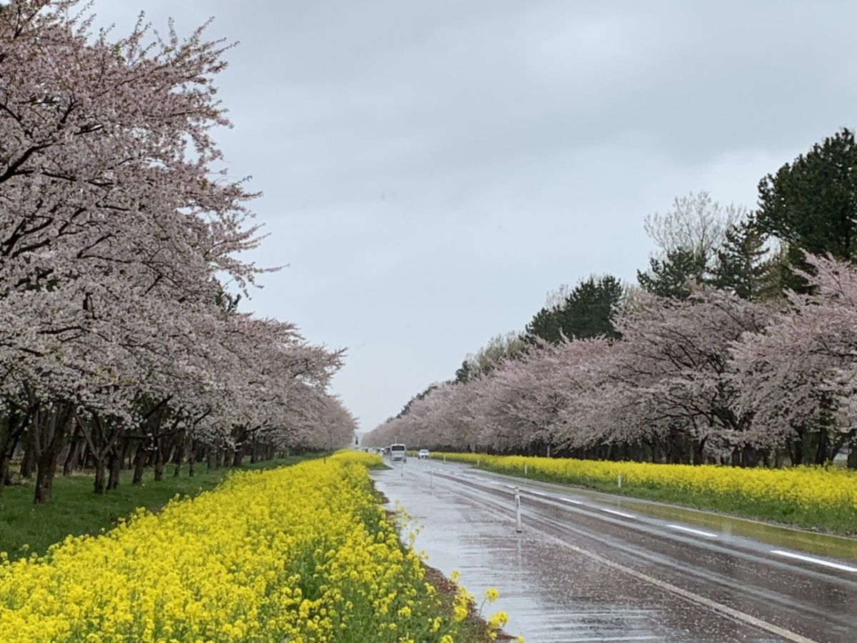 2019年4月30日 桜 八郎潟線