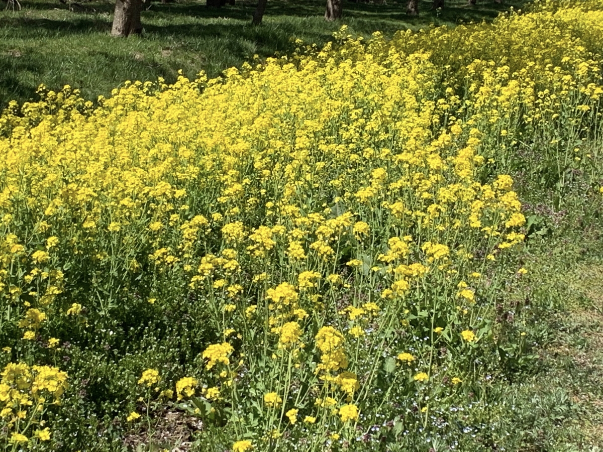 2019年4月29日