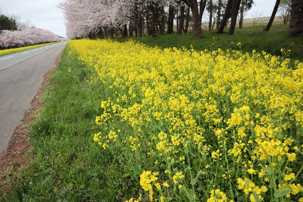 2019年4月26日