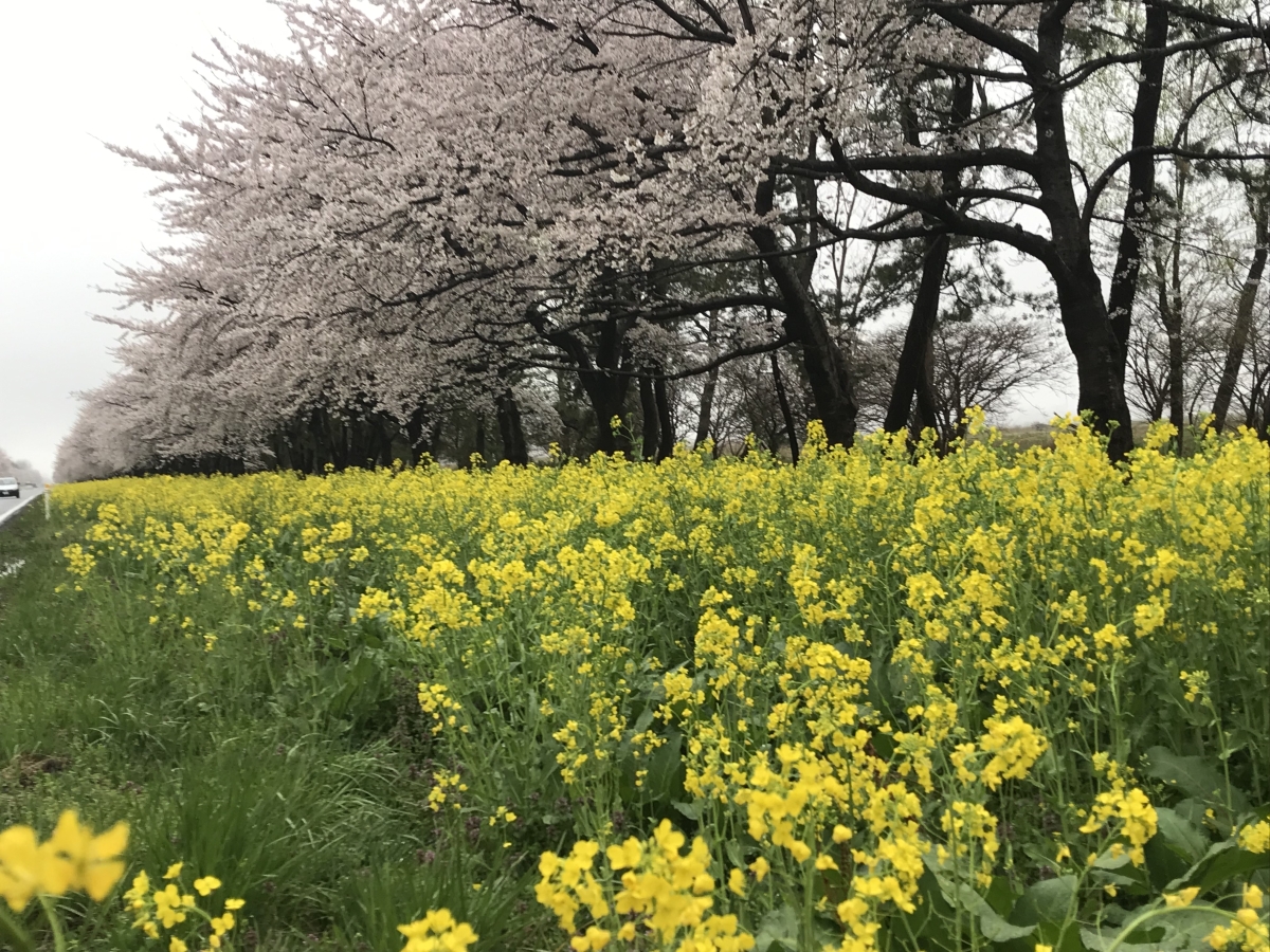 2019年4月25日