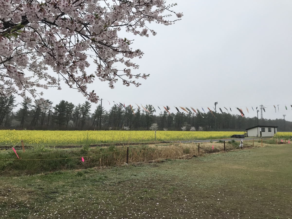 2019年4月25日 ミニSL会場