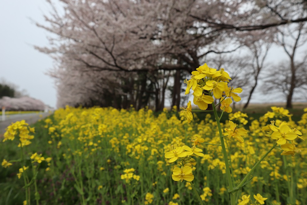 2019年4月24日