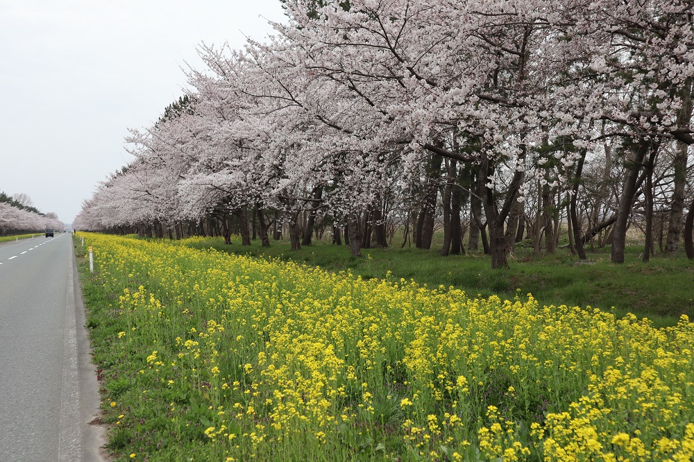 2019年4月23日