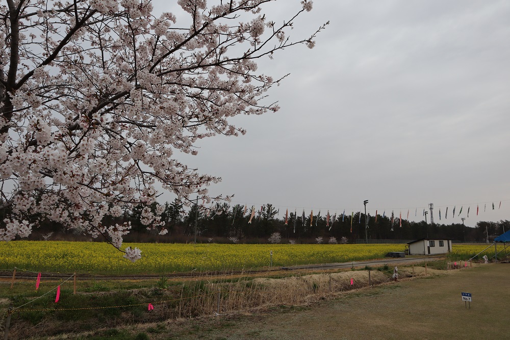 2019年4月23日 ミニSL会場