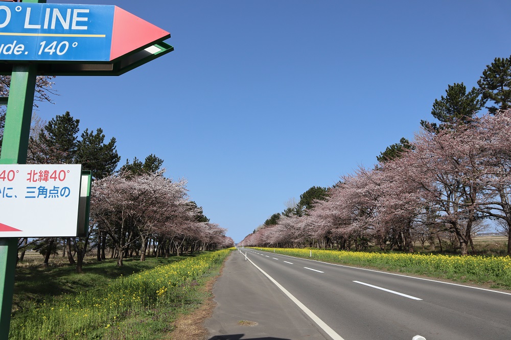2019年4月22日 桜 八郎潟線