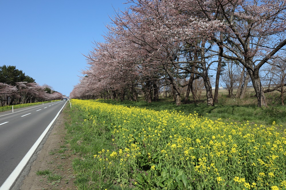 2019年4月22日