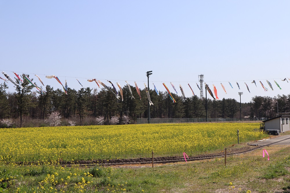 2019年4月22日 ミニSL会場