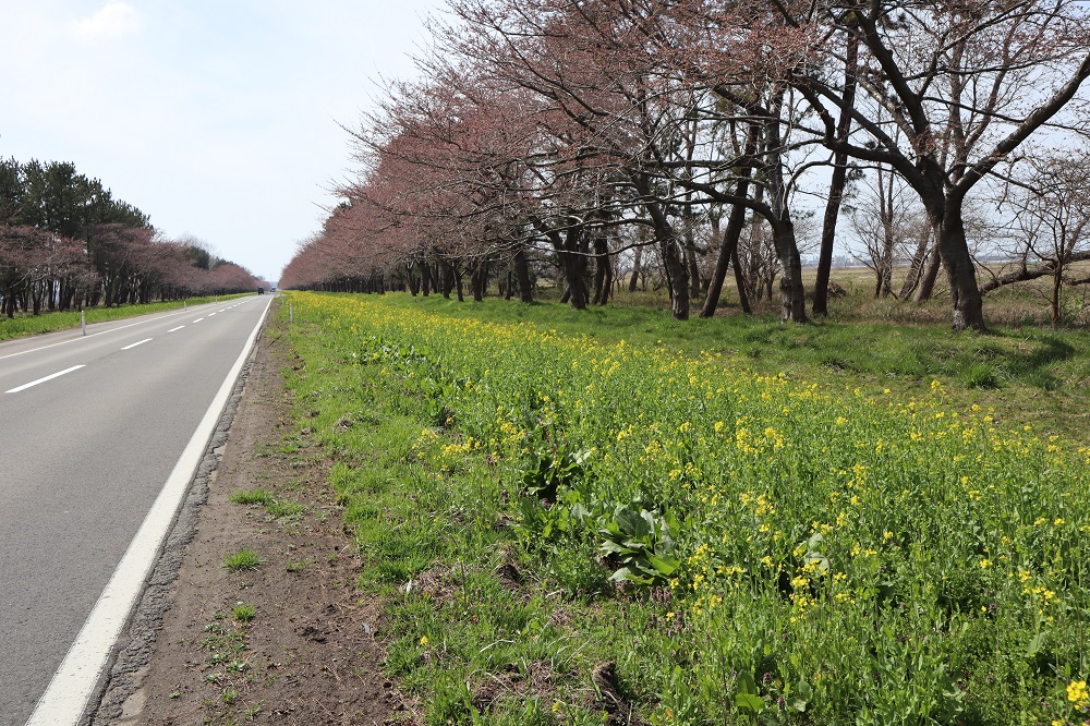 2019年4月19日