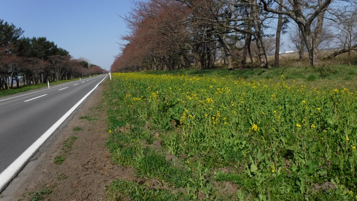 2019年4月18日