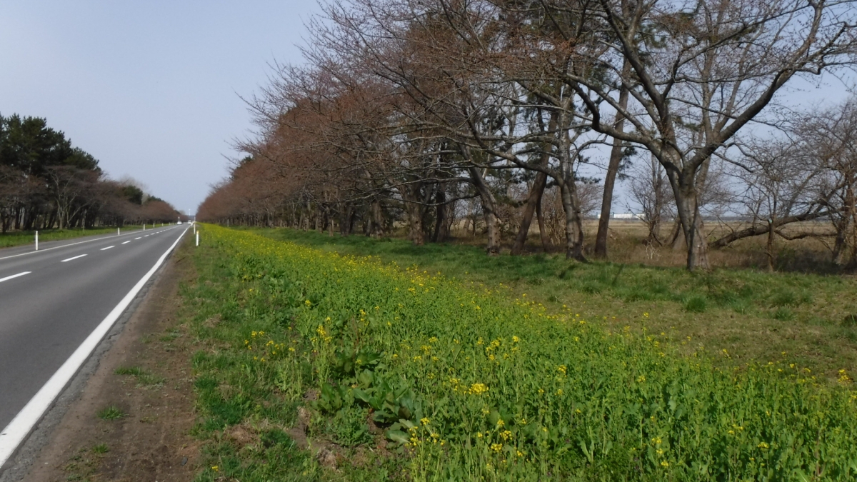 2019年4月17日