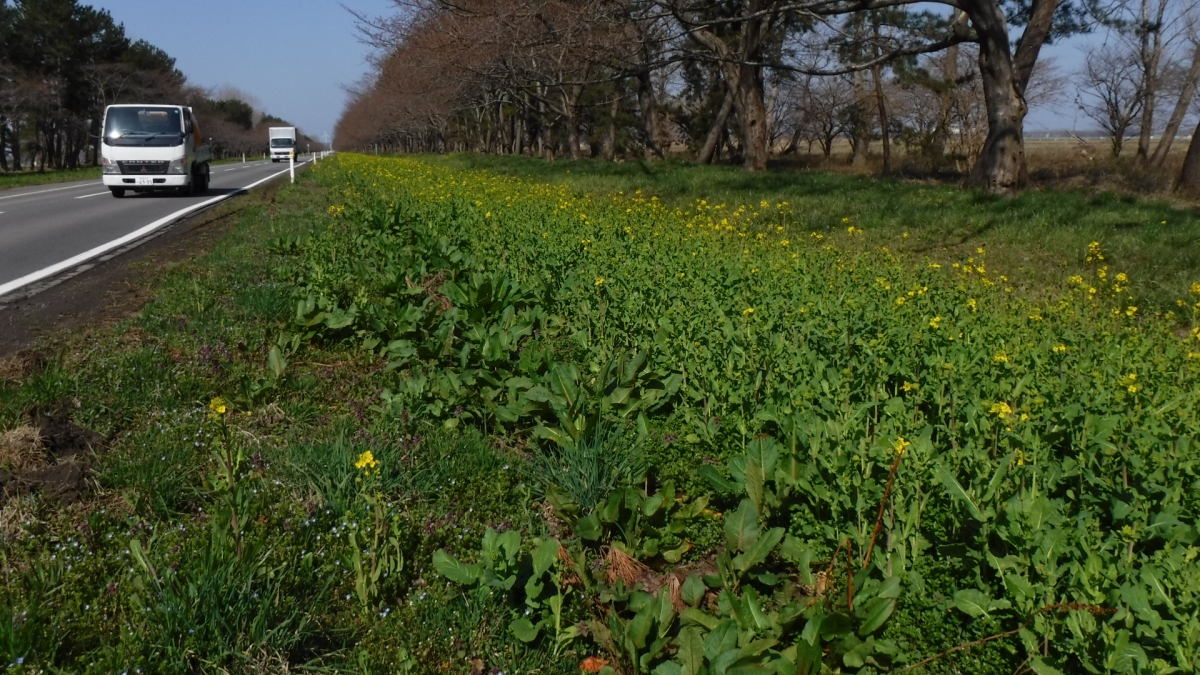 2019年4月16日