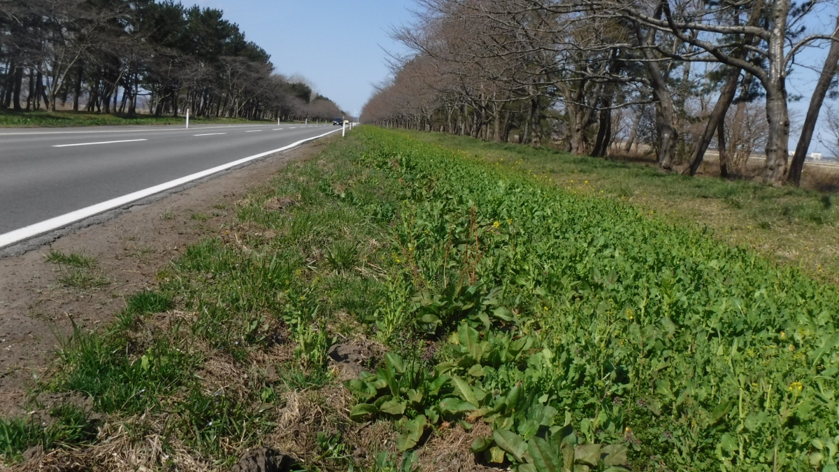 2019年4月12日