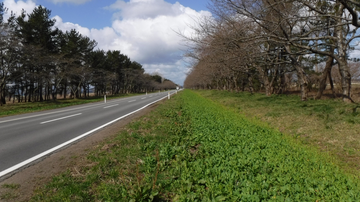 2019年4月10日