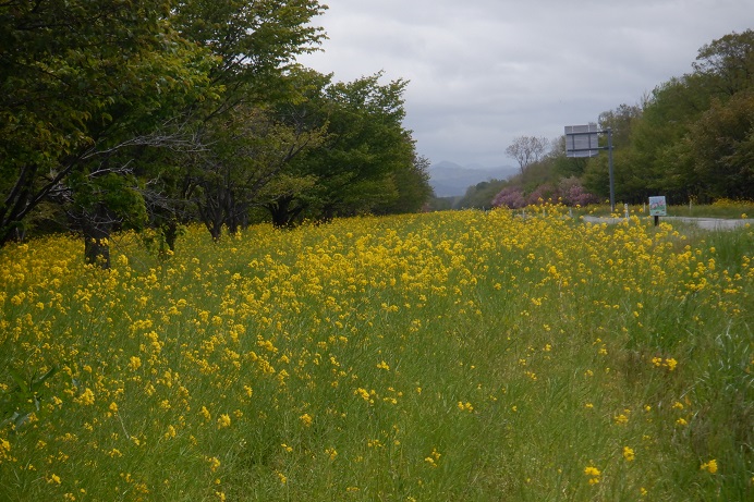 2021年5月10日