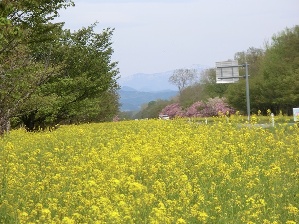 2021年5月7日