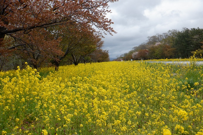 2021年4月30日