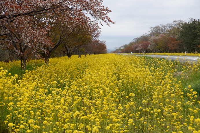 2021年4月28日